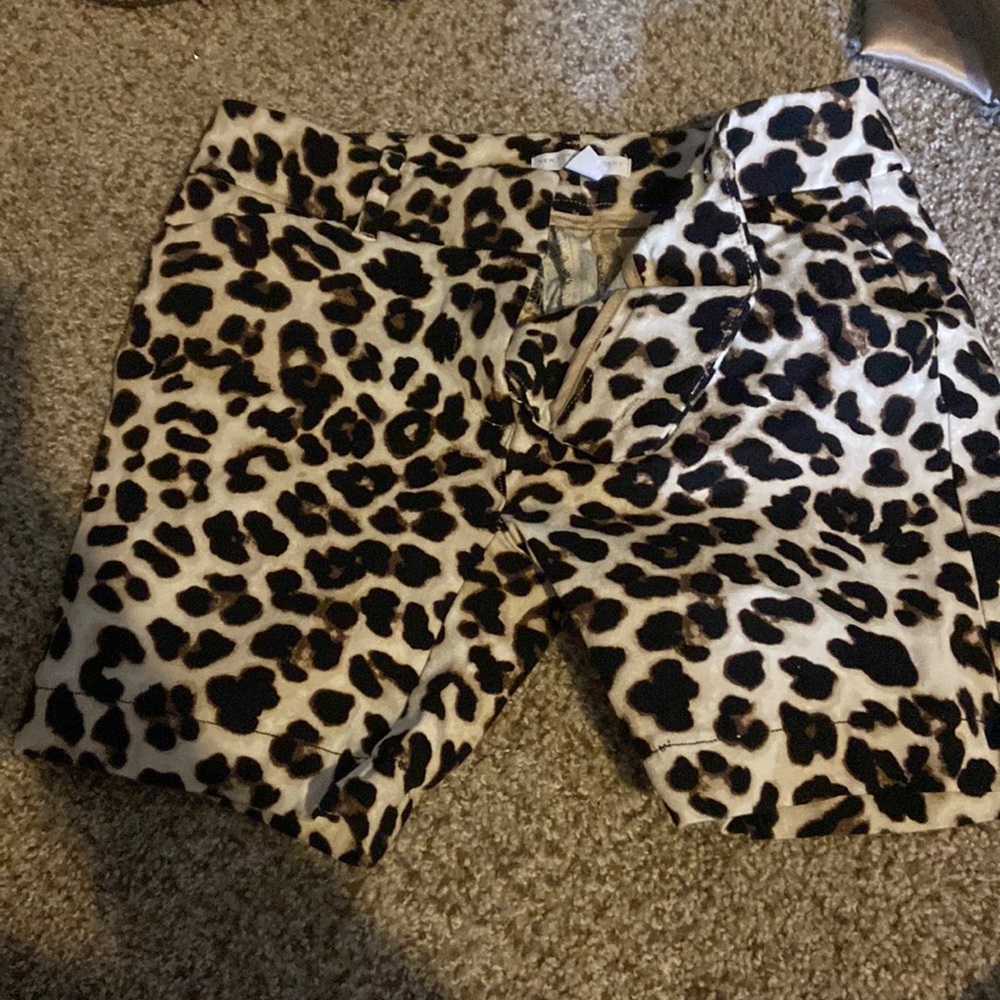 Cheatah New York and company shorts